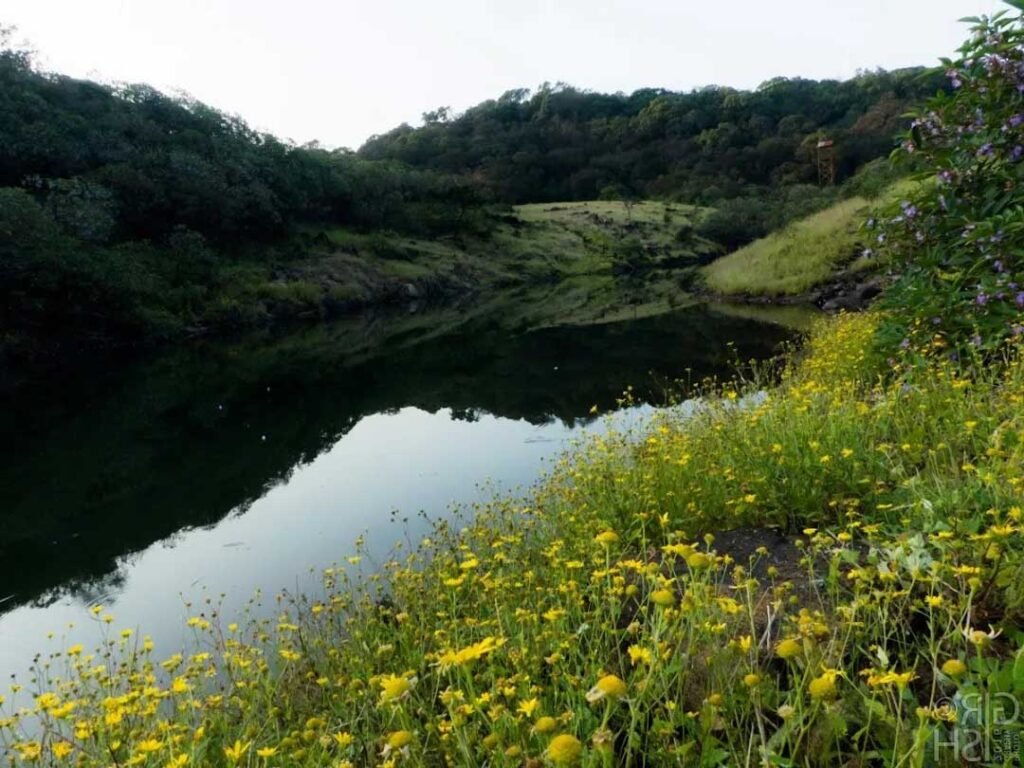 Machan-trail-at-Bhimashankar-1